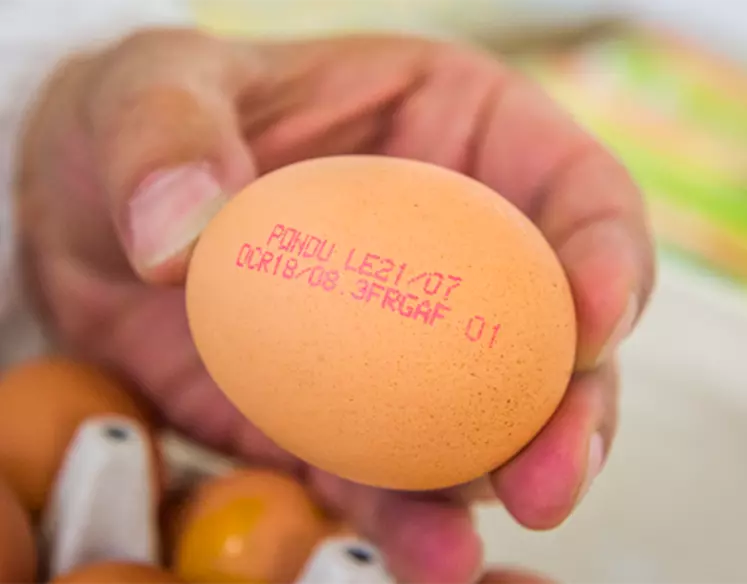 L’Allemagne voudrait voir le code des œufs sur les ovoproduits et produits aux œufs Les